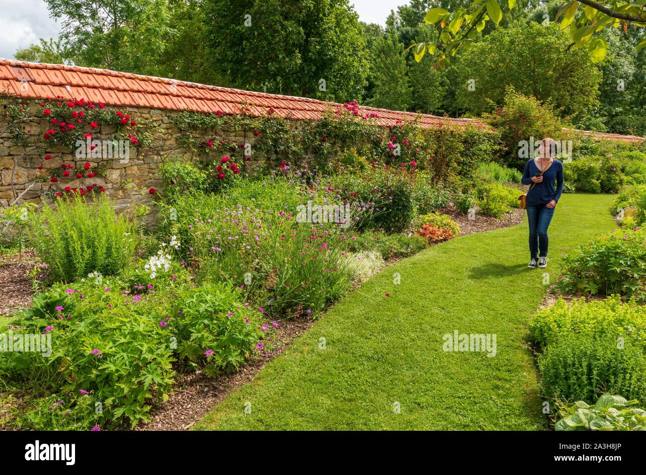 Bordeaux , Aquitaine France - 30 01 2023 : google nest mini home assistente  vocale virtuale in mostra negozio marchio commerciale logo e caselle di  testo segno s Foto stock - Alamy