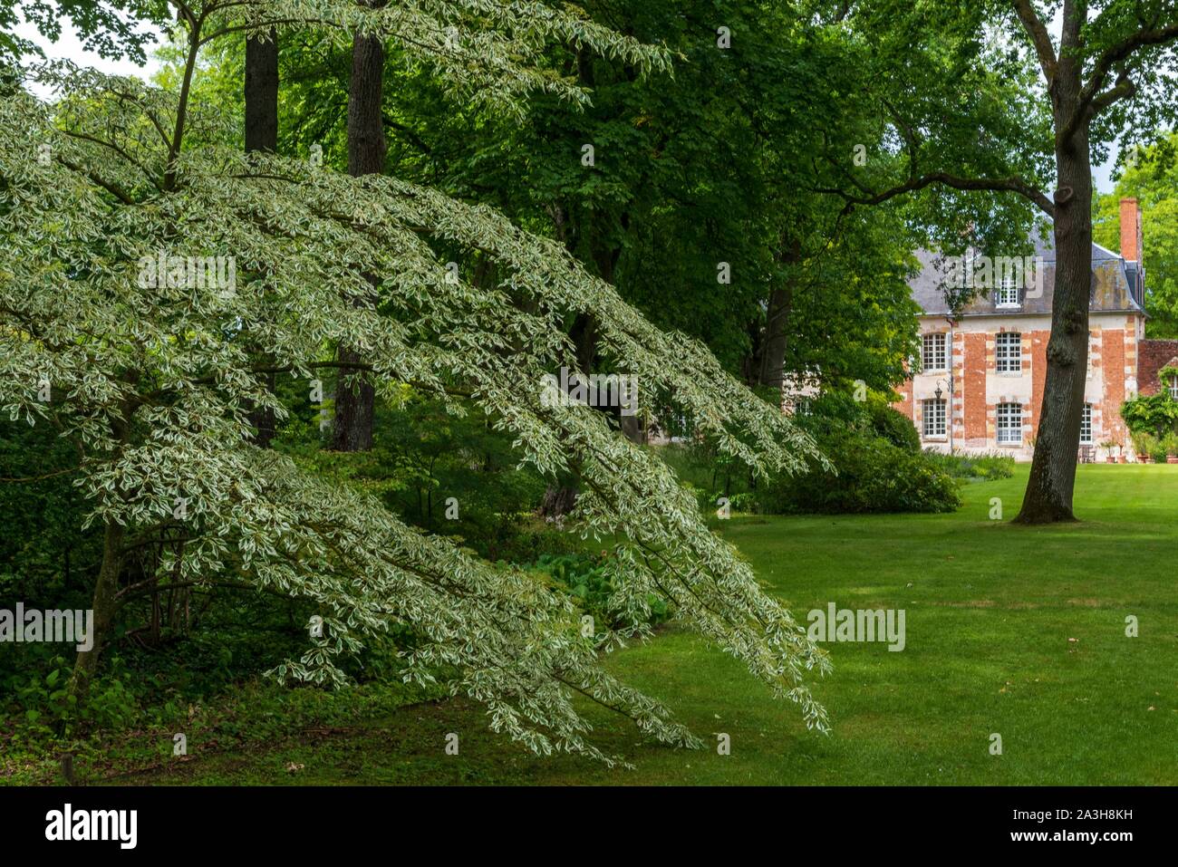Francia, Loiret, Montbarrois, Parc du Manoir de la Javeliere (Javeliere Manor House Park), giardino e Manor House Foto Stock