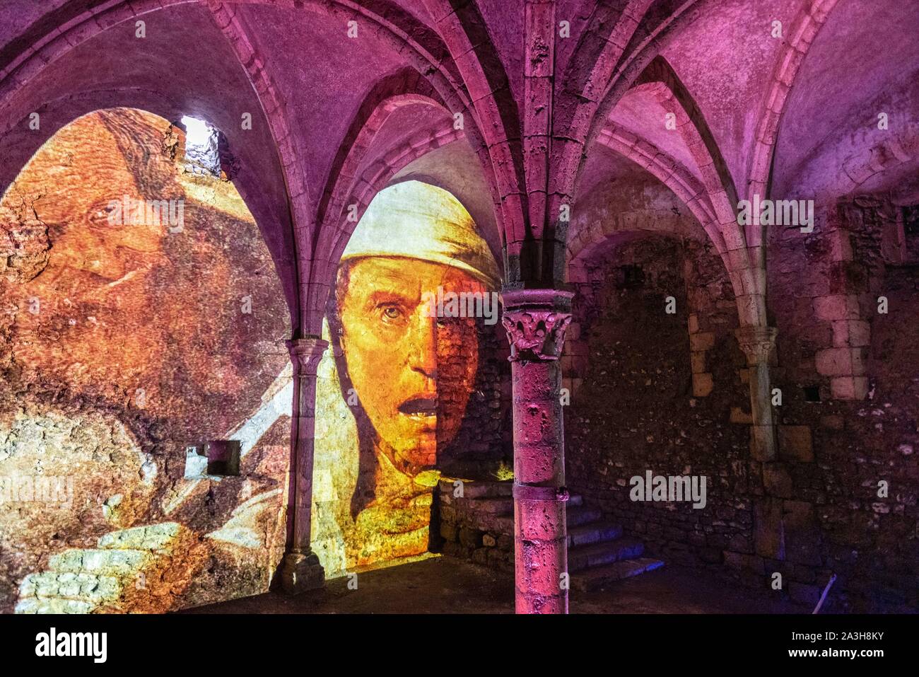 Francia, Loiret, Meung sur Loire, Meung sur Loire Castello, dal XII secolo, elencati monumento storico dal 1988, il castello di dungeon, proiezione di luce Foto Stock