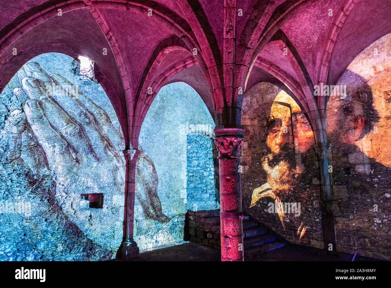 Francia, Loiret, Meung sur Loire, Meung sur Loire Castello, dal XII secolo, elencati monumento storico dal 1988, il castello di dungeon, proiezione di luce Foto Stock