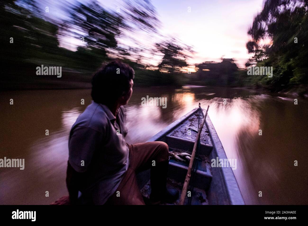 Ecuador, Tena, immersione esperienza di vita con la Waoranis del Rio Nushino, canoa motorizzato al crepuscolo Foto Stock