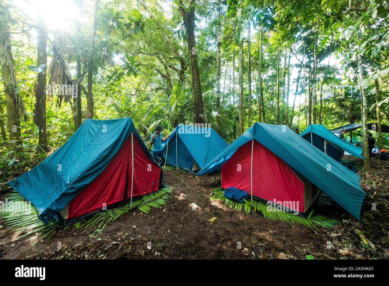 Ecuador, Tena, immersione esperienza di vita con la Waoranis del Rio Nushino, camp nella foresta Foto Stock