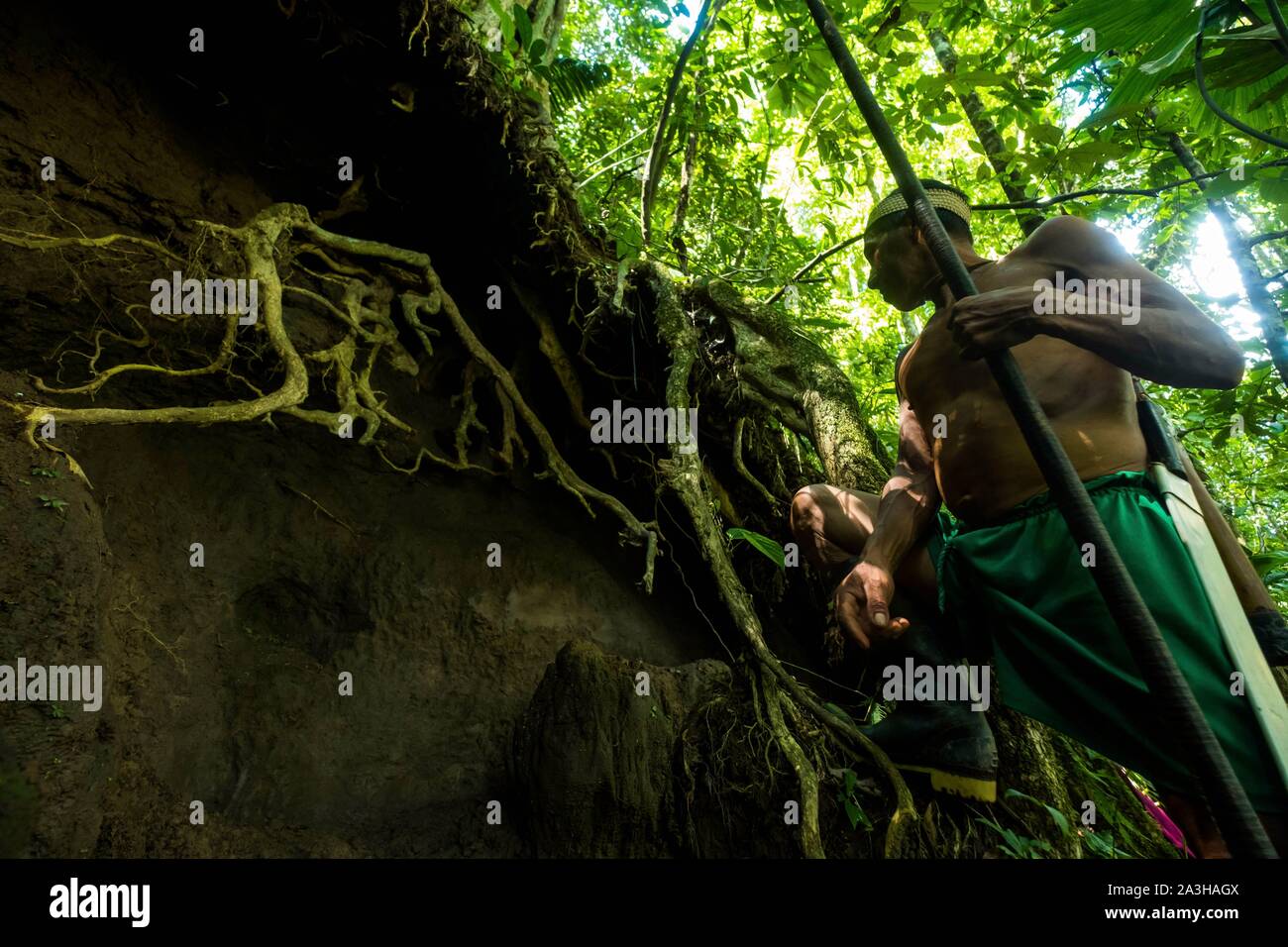 Ecuador, Tena, immersione esperienza di vita con la Waoranis del Rio Nushino, saladero, o tasca ricca di sali minerali, dove converge la fauna selvatica Foto Stock