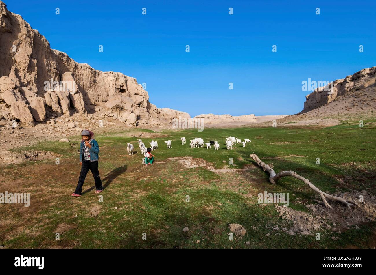 Cina, Xinjiang regione autonoma, Turfan o Turpan, rovinato antiche città di Jiaohe e Gaocheng, fermate lungo la Via della Seta Foto Stock