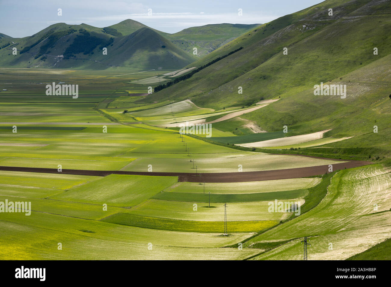 I colori e le trame del pianoforte Grande, Parco Nazionale dei Monti Sibillini, Umbria, Italia Foto Stock