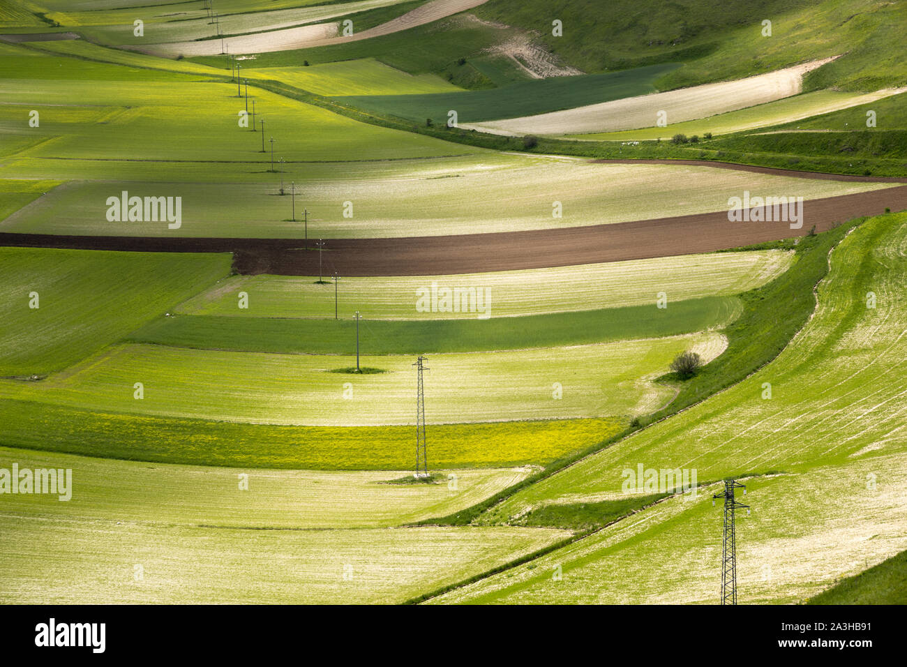 I colori e le trame del pianoforte Grande, Parco Nazionale dei Monti Sibillini, Umbria, Italia Foto Stock