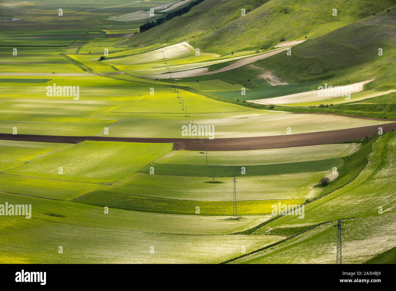 I colori e le trame del pianoforte Grande, Parco Nazionale dei Monti Sibillini, Umbria, Italia Foto Stock