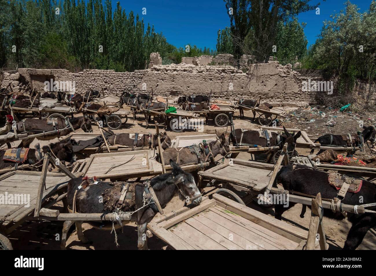 Cina, Xinjiang Uyghur regione autonoma, Karakoram Highway, Upal, Bazaar, lunedì mercato carrelli donket garage Foto Stock