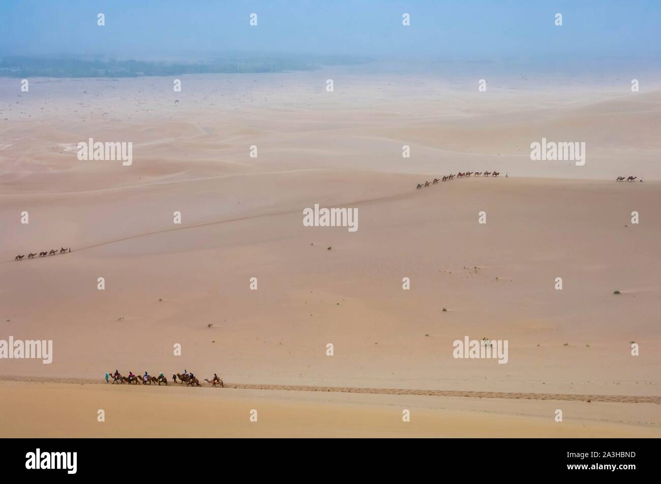 Cina, provincia di Gansu, Dunhuang, Mingsha dune di sabbia, trekking a Bactrian camel back, nello spirito della Via della Seta Foto Stock