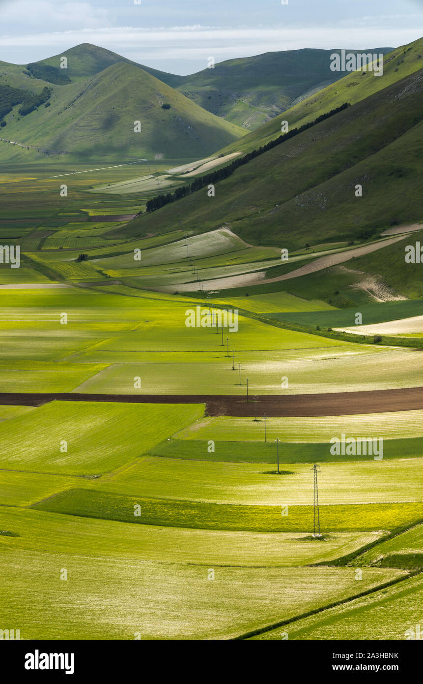I colori e le trame del pianoforte Grande, Parco Nazionale dei Monti Sibillini, Umbria, Italia Foto Stock