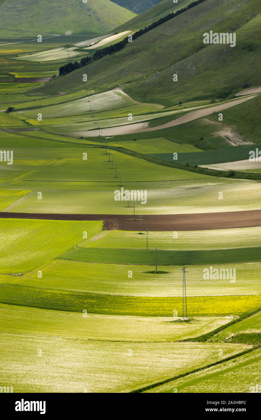 I colori e le trame del pianoforte Grande, Parco Nazionale dei Monti Sibillini, Umbria, Italia Foto Stock