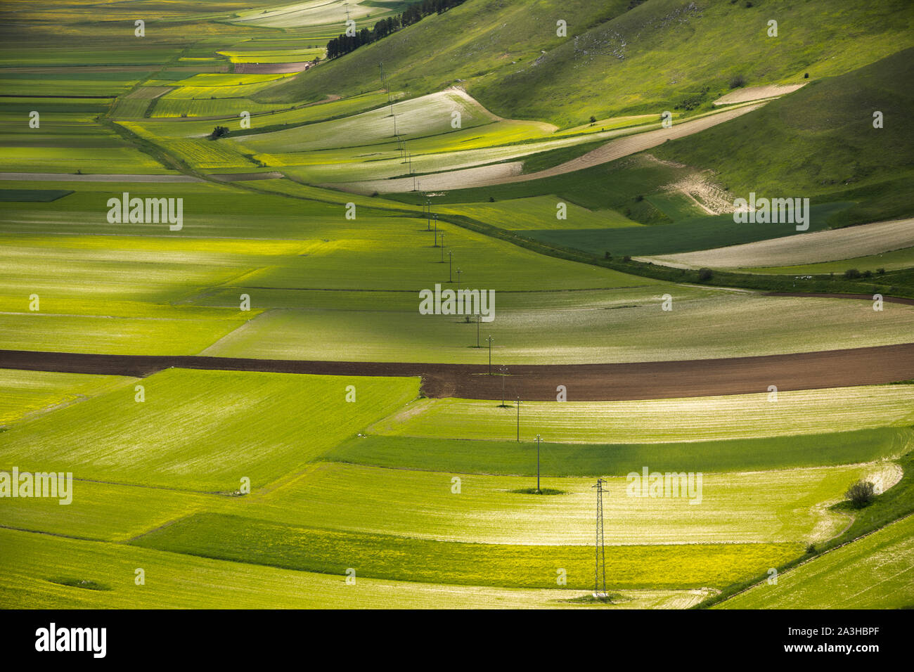 I colori e le trame del pianoforte Grande, Parco Nazionale dei Monti Sibillini, Umbria, Italia Foto Stock