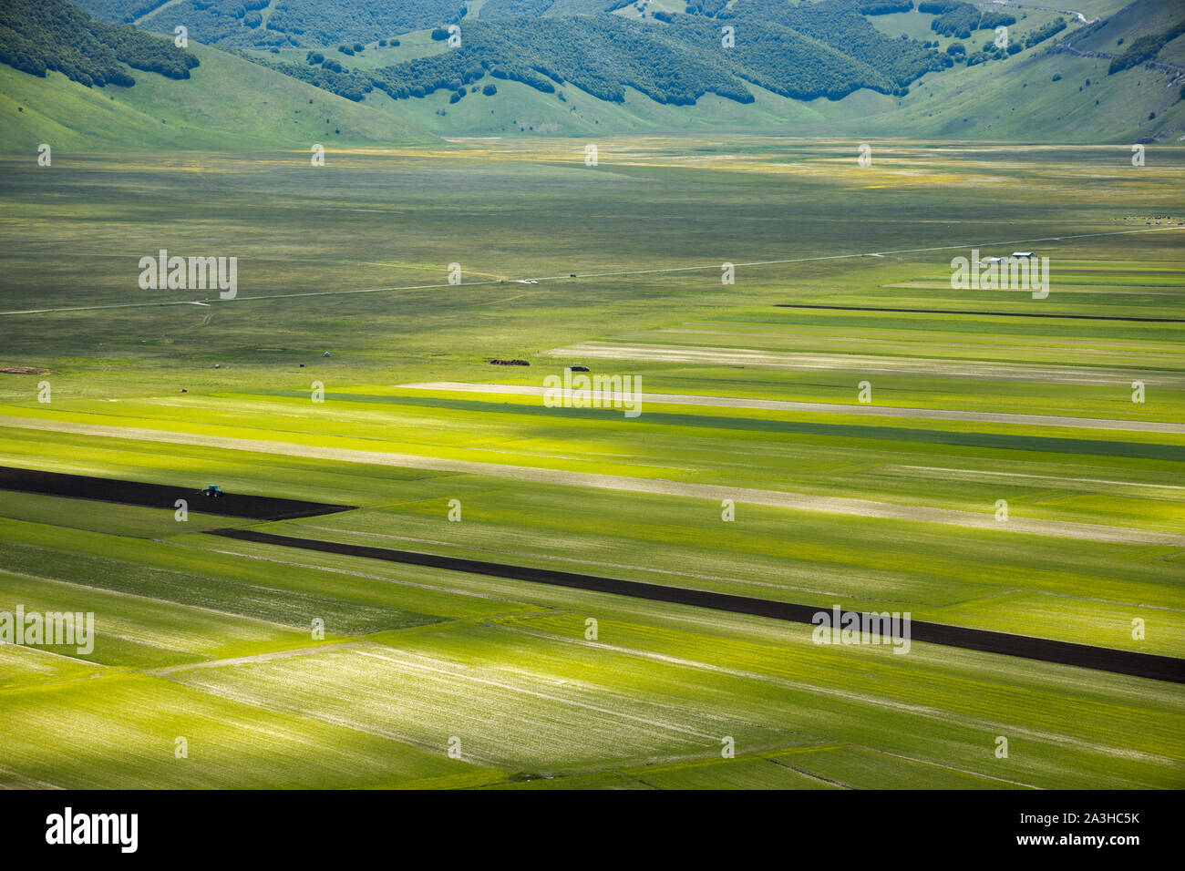 I colori e le trame del pianoforte Grande, Parco Nazionale dei Monti Sibillini, Umbria, Italia Foto Stock