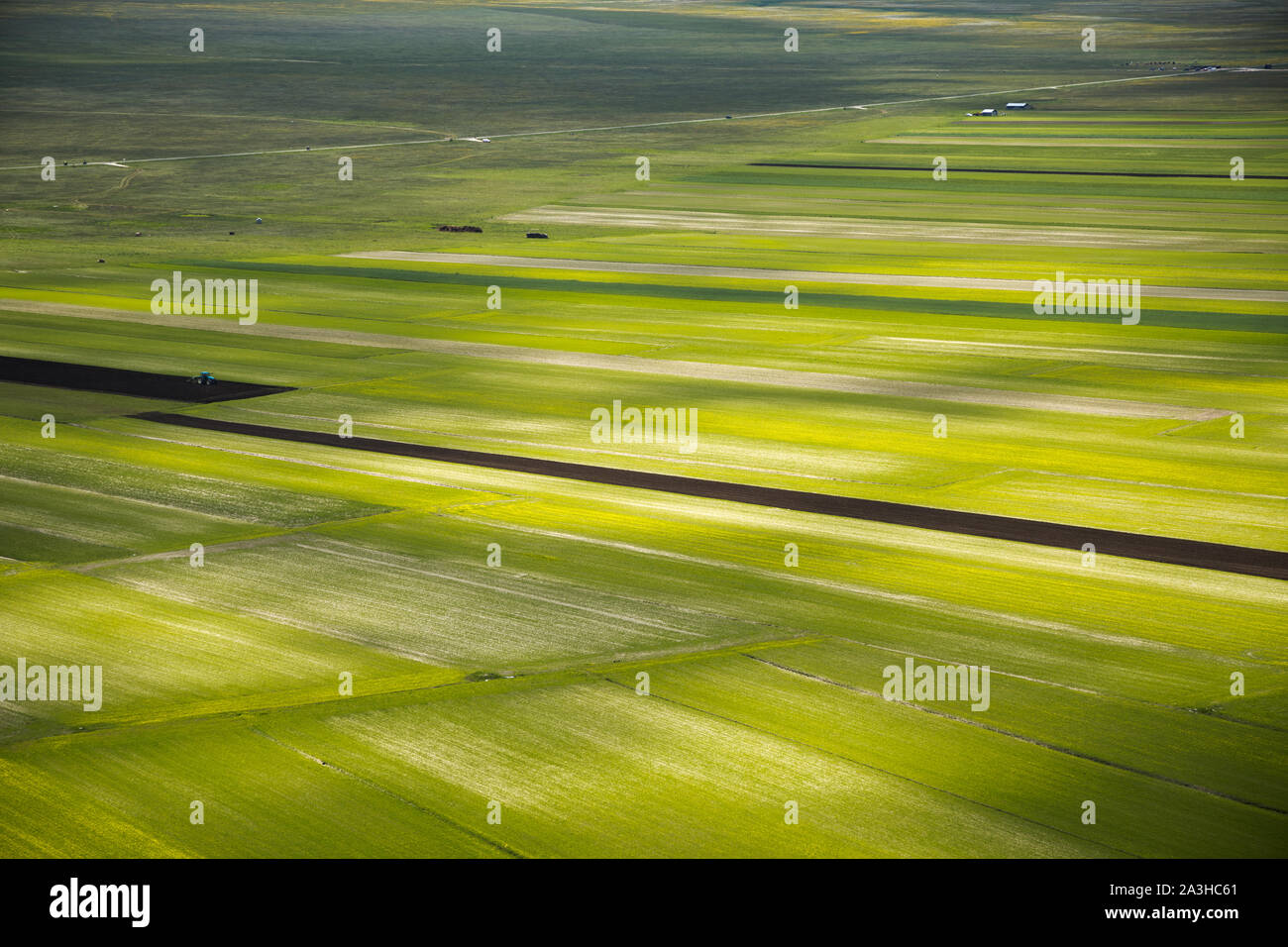 I colori e le trame del pianoforte Grande, Parco Nazionale dei Monti Sibillini, Umbria, Italia Foto Stock