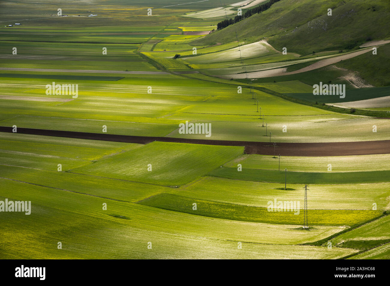 I colori e le trame del pianoforte Grande, Parco Nazionale dei Monti Sibillini, Umbria, Italia Foto Stock