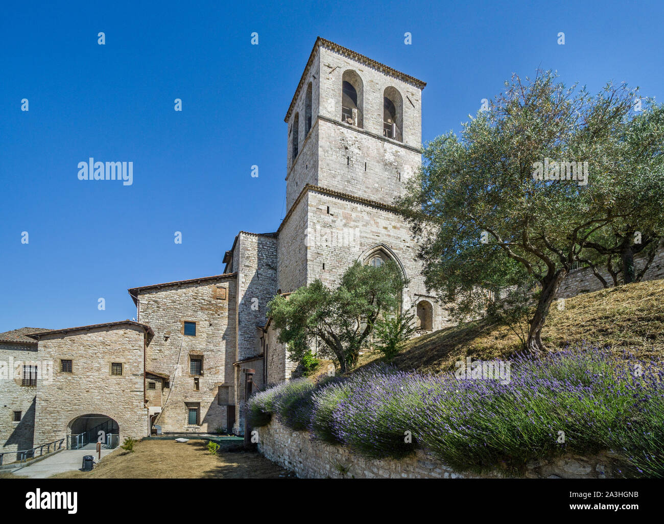 Cattedrale di Gubbio, xii secolo Basilica dei Santi mariano e Giacomo martiri, Gubbio in Umbria, Italia Foto Stock
