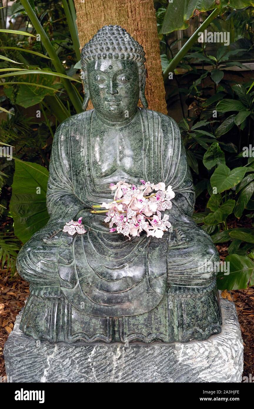 Il Buddha con ordhids a Marie Selby Botanic Gardens, Sarasota, Florida Foto Stock