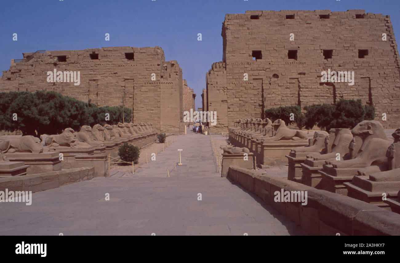 Egitto : Il Patrimonio mondiale Unesco Tempel Hatschepsut nei pressi di Luxor Foto Stock