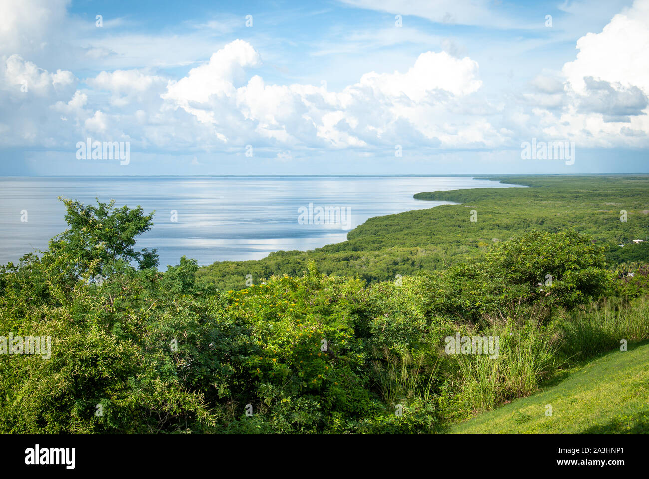 Vista della baia di Campeche Messico e il verde della foresta Foto stock -  Alamy