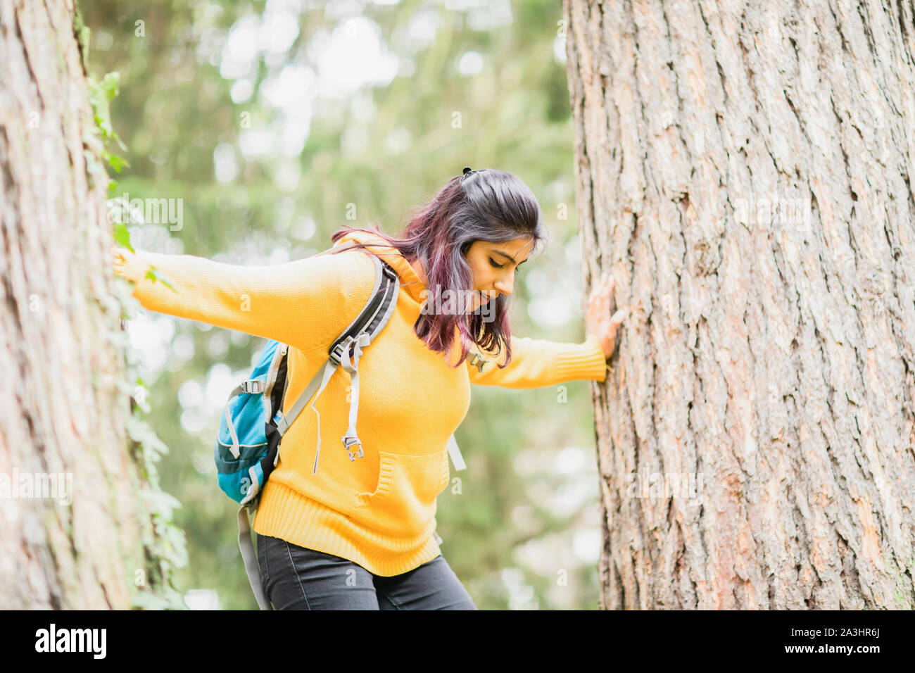 Giovane donna di arrampicata in una struttura ad albero con zaino Foto Stock