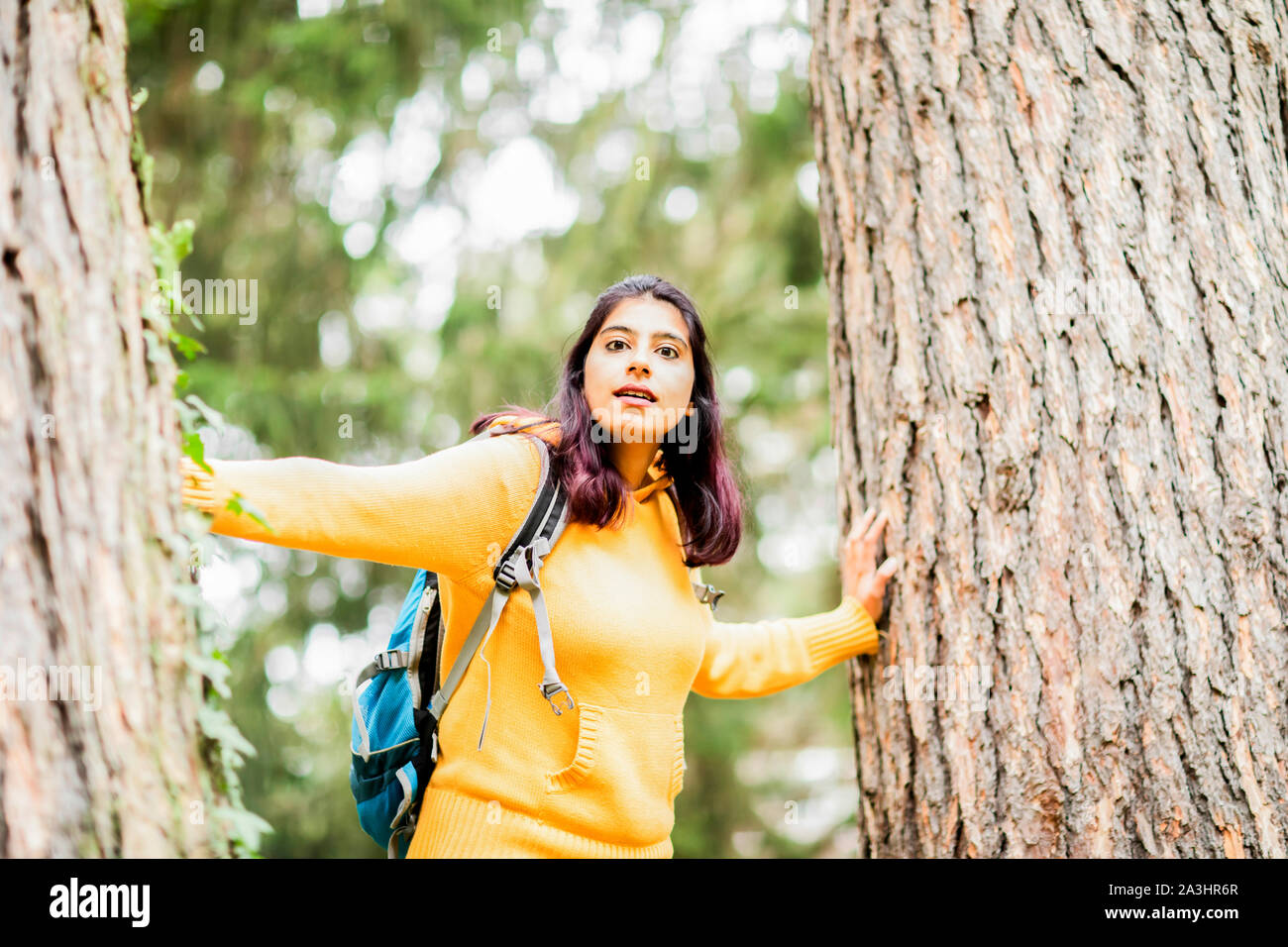Giovane donna escursionista tra gli alberi Foto Stock