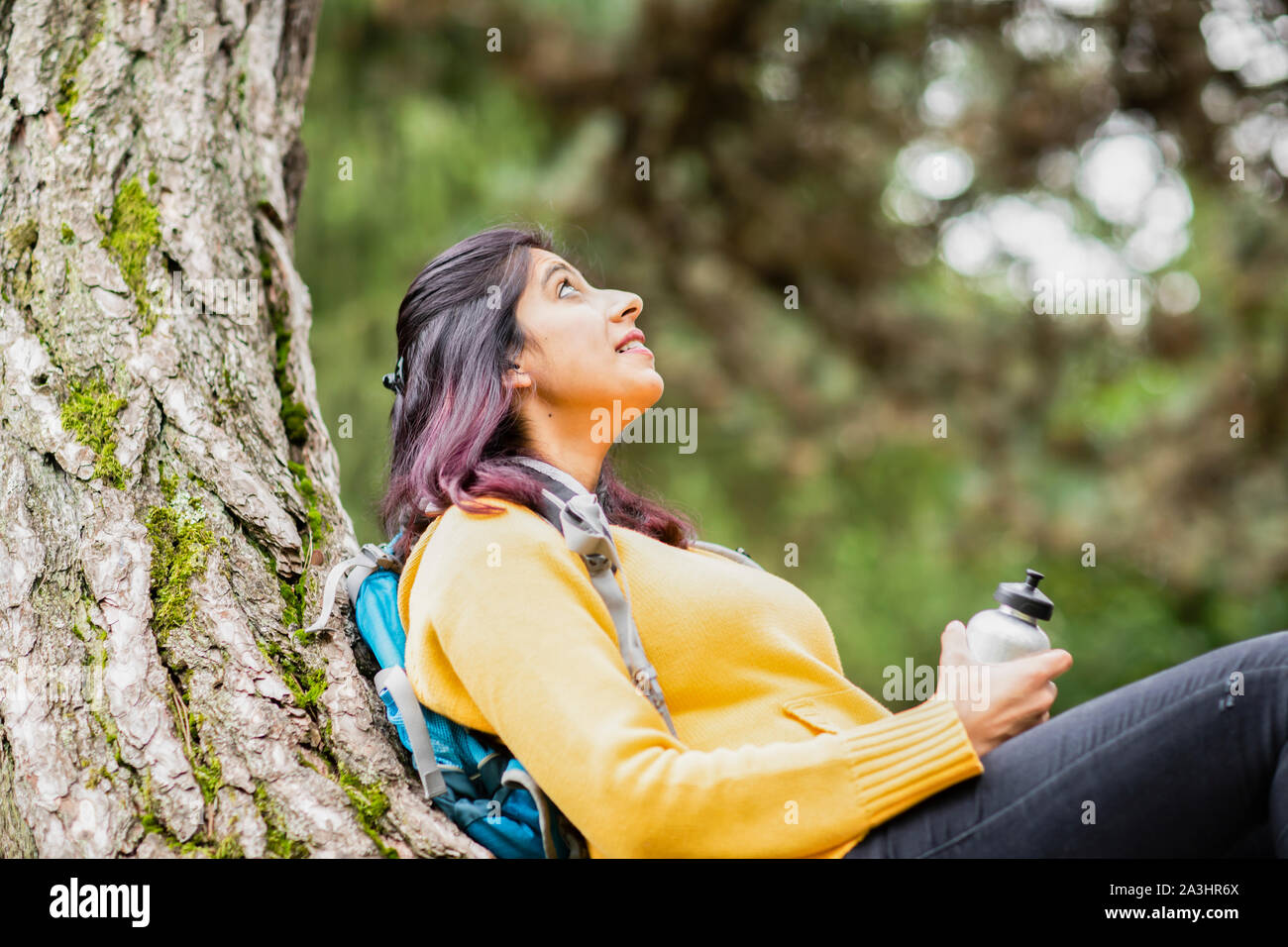 Giovane donna escursionismo e rilassante su un ramo di un albero Foto Stock