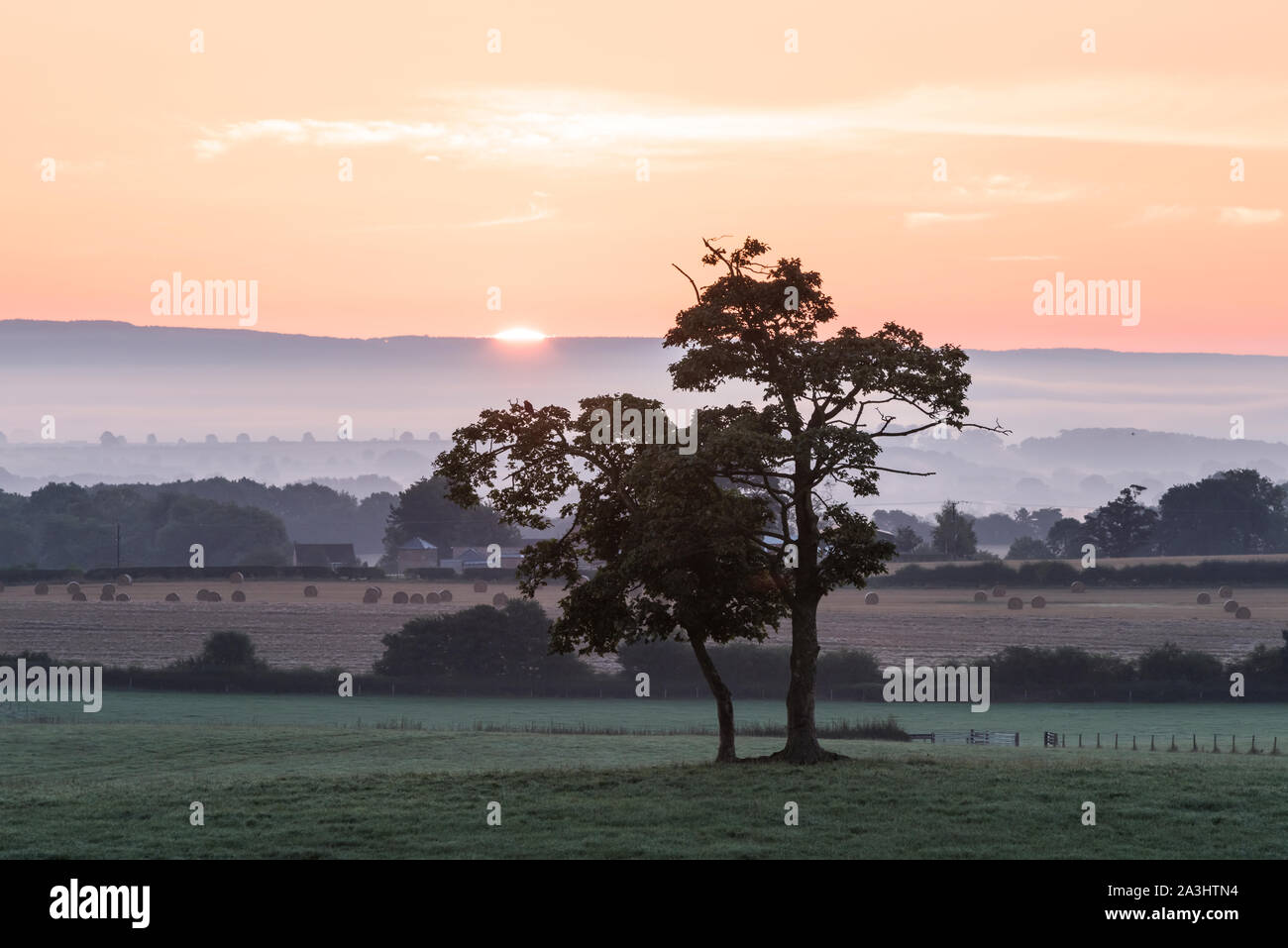 Vista verso il Hambleton Hills all'alba dalla collina Breckamore vicino a Ripon. Foto Stock