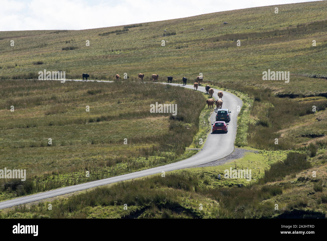 Stonesdale North Yorkshire Foto Stock