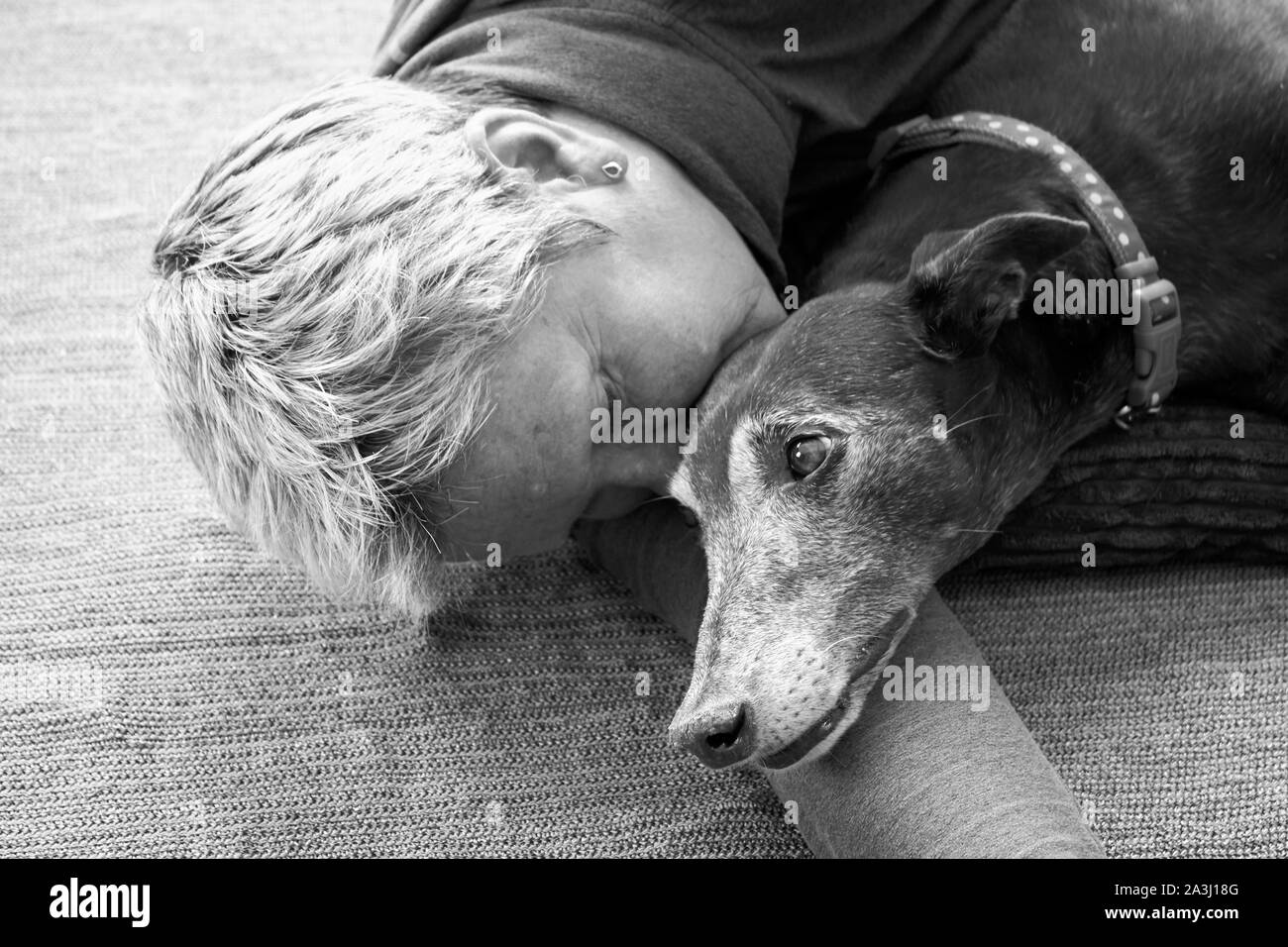 Vero amore anziana donna e cane vecchio dormire sul pavimento, North Yorkshire, Inghilterra, Regno Unito, GB Foto Stock