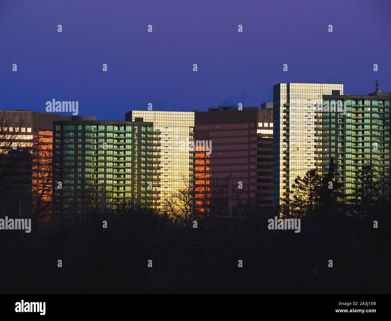 Diversi vetri colorati su edifici illuminati dal tramonto e un treeline in primo piano. Foto Stock