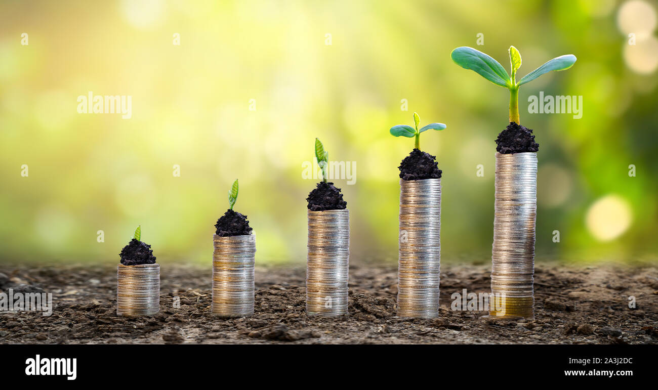 La crescita di denaro per un risparmio di denaro. Albero superiore monete al concetto illustrato ai cambiamenti di un business in espansione Foto Stock