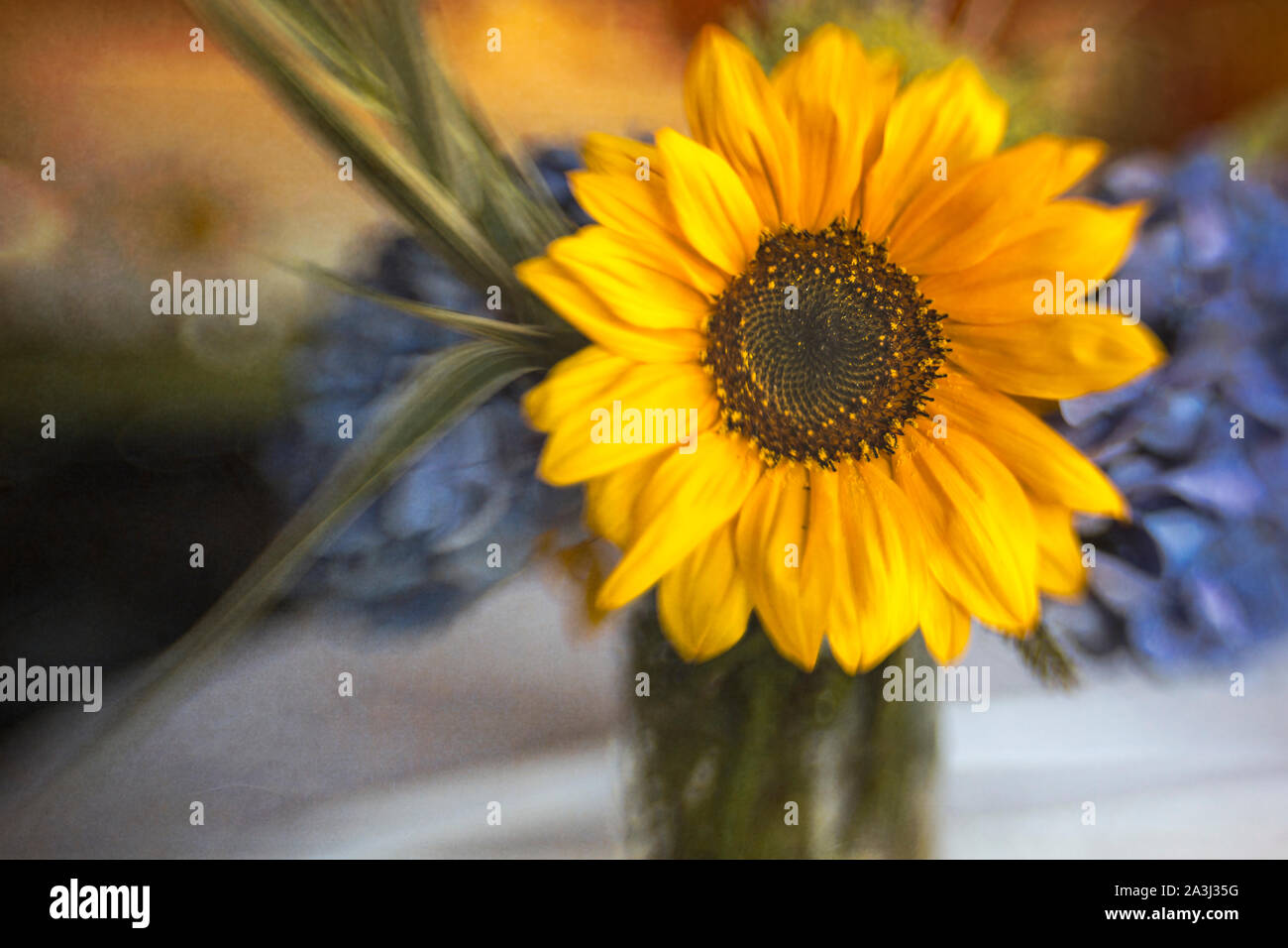Girasole giallo con ortensie e verde tabella centrotavola Foto Stock