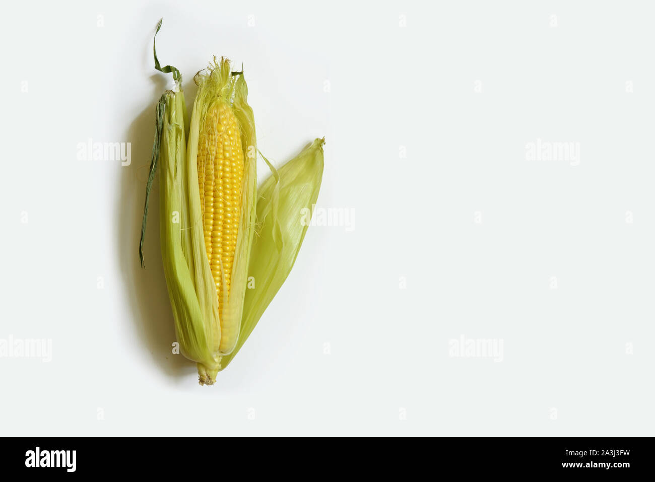 Layout creativo fatto di fresche biologiche di mais dolce dalla fattoria isolare su uno sfondo bianco. Vista dall'alto. Lay piatto. Concetto di cibo. Concetto di macro. La dieta di co Foto Stock