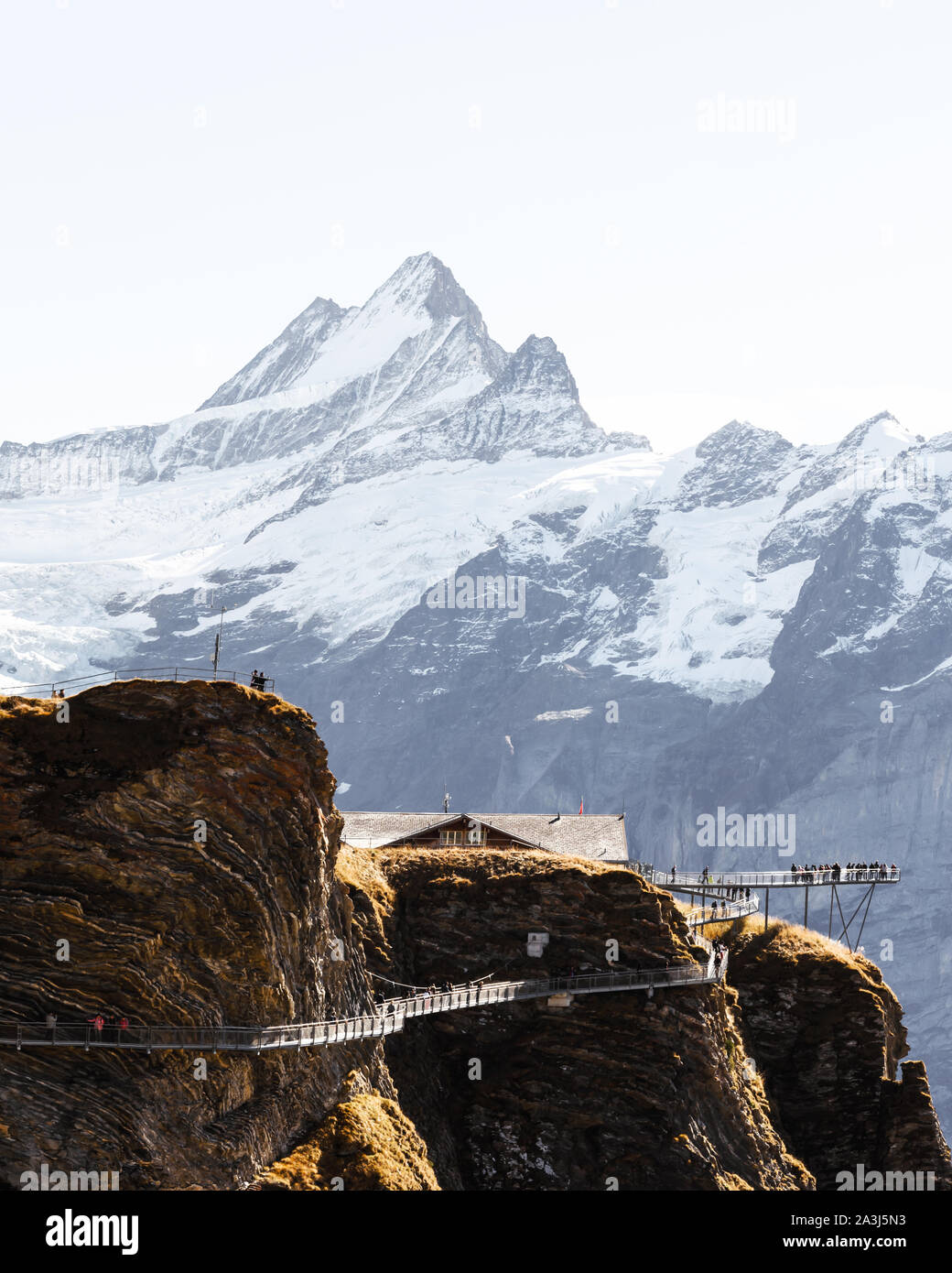 Estremo punto di vista sulla cima di Grindelwald prima funivia nelle Alpi Svizzere. Snowy Schreckhorn picco di montagna sullo sfondo. Alpi bernesi, Svizzera, Europa. Foto Stock