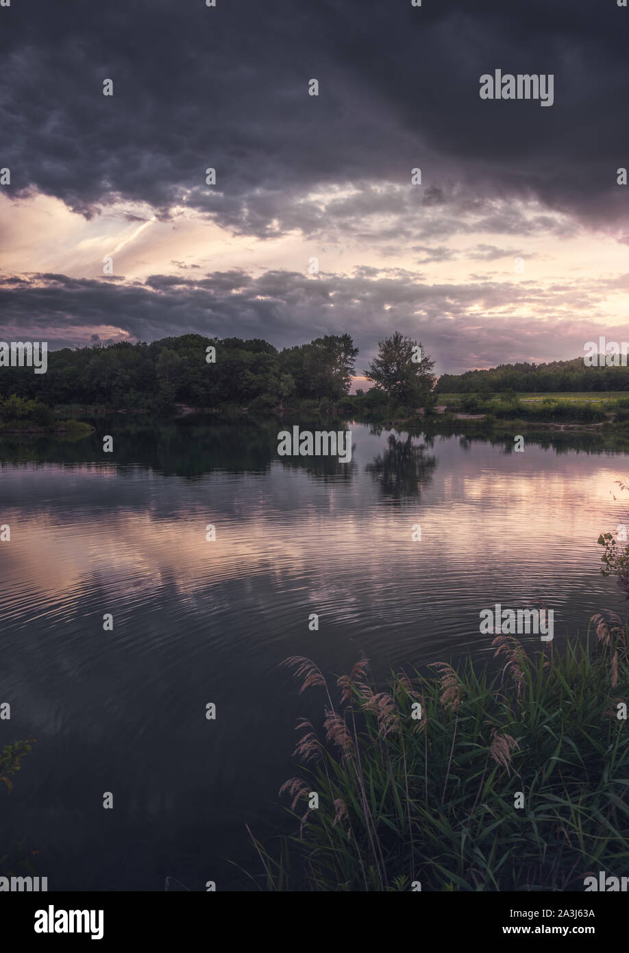 Cielo drammatico tramonto sul lago con piante in primo piano Foto Stock