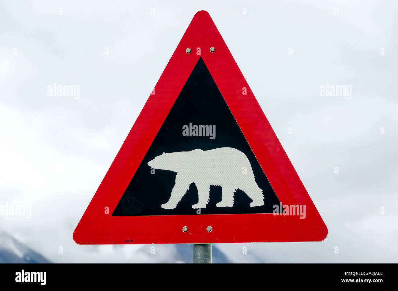 Orso polare in segno di avvertimento per tutti di Svalbard Longyearbyen, Norvegia Foto Stock