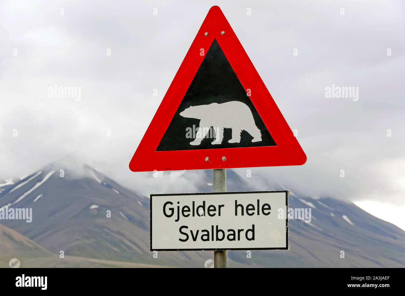 Orso polare in segno di avvertimento per tutti di Svalbard Longyearbyen, Norvegia Foto Stock