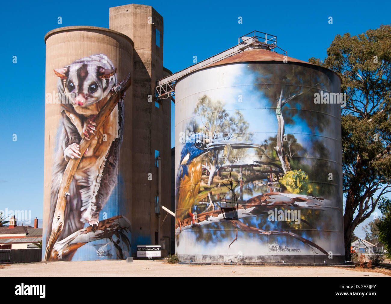 Silo art di Dvate a Rochester, Victoria settentrionale, Australia. Immagine acquisita prima della devastante inondazione dell'ottobre 2022. Foto Stock