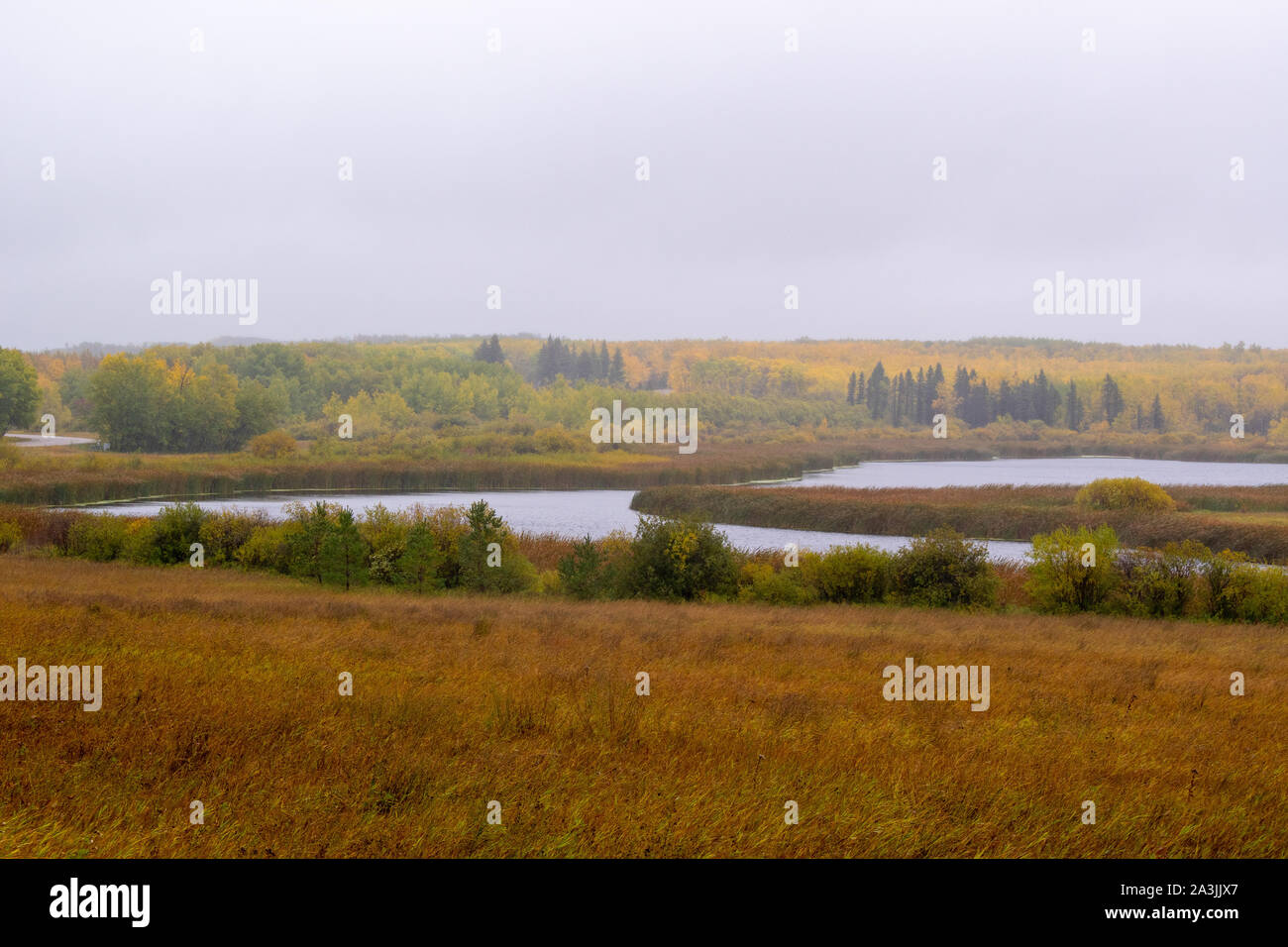 Misty giornata autunnale, in corrispondenza di un lago vicino alla pace internazionale sul giardino USA-Canada Frontiera, il Dakota del Nord USA e Manitoba Canada Foto Stock