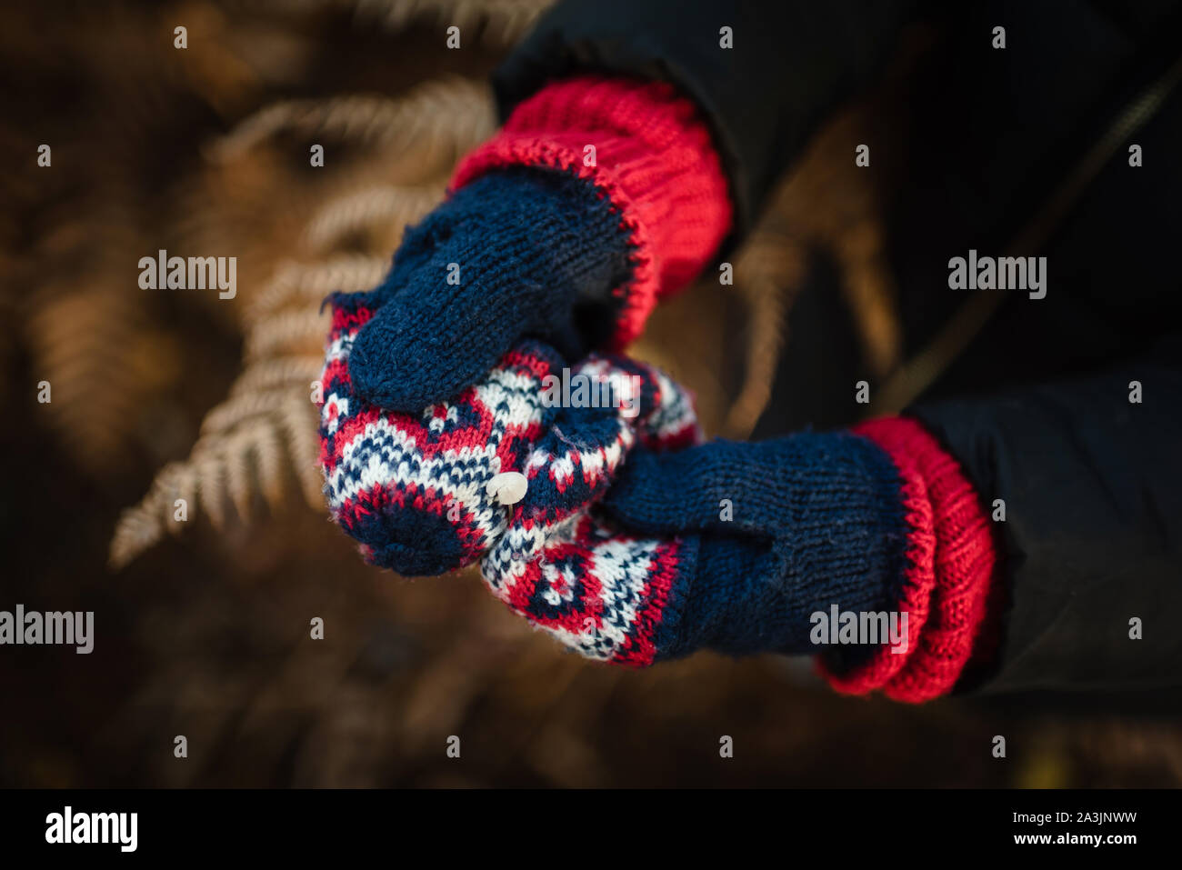 Bambino in azienda guanti piccolo fungo Foto Stock