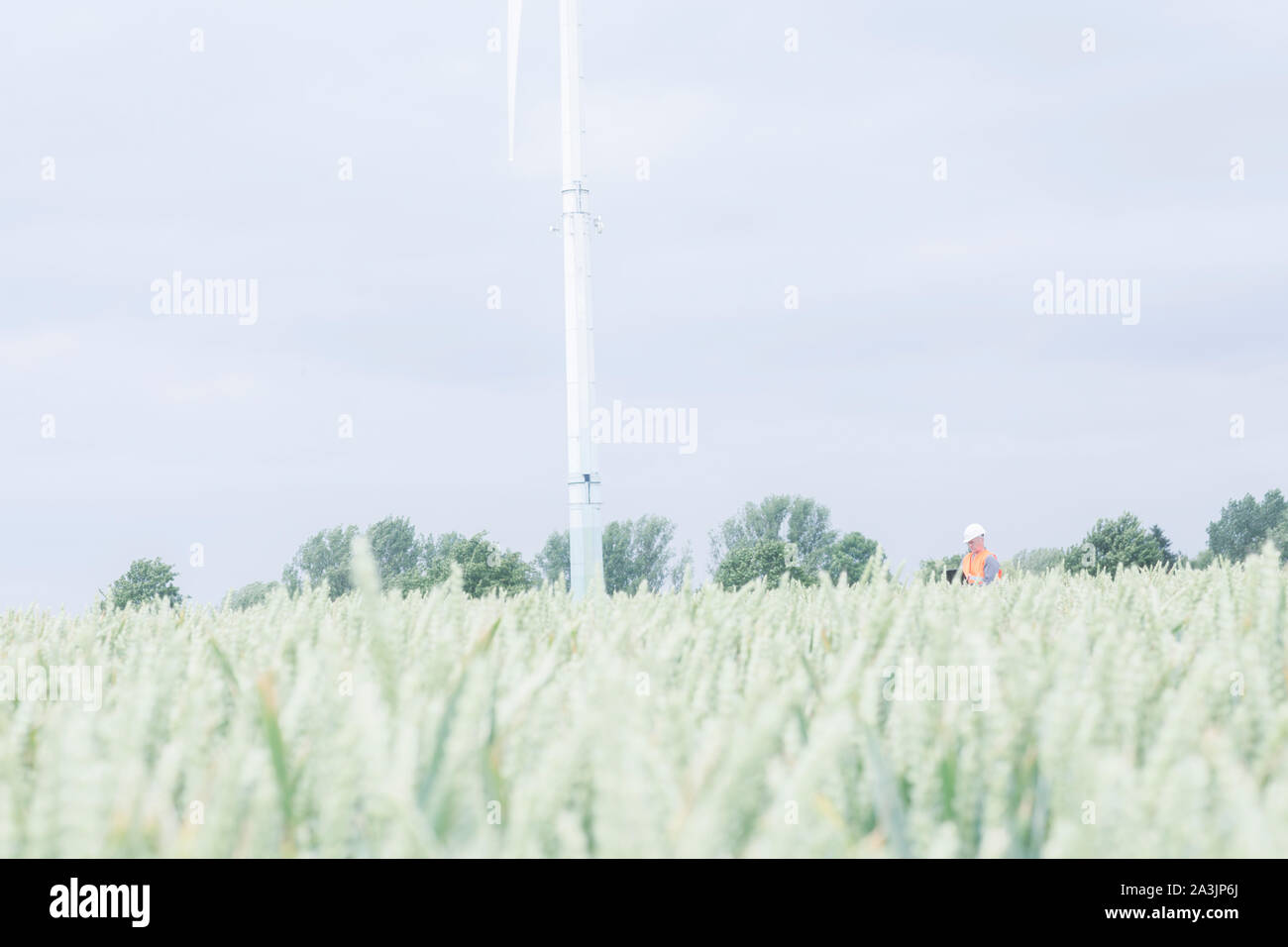 I vecchi ingegnere energetico nella parte anteriore di una turbina eolica Foto Stock