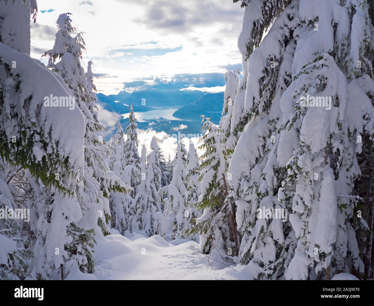 Punto di vista di Howe Sound e Squamish da Garibaldi Provincial Park, BC Foto Stock