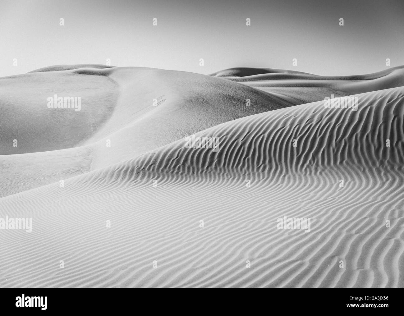 In bianco e nero e le dune di sabbia bianca in una giornata di sole nel deserto vicino a Yuma, AZ Foto Stock
