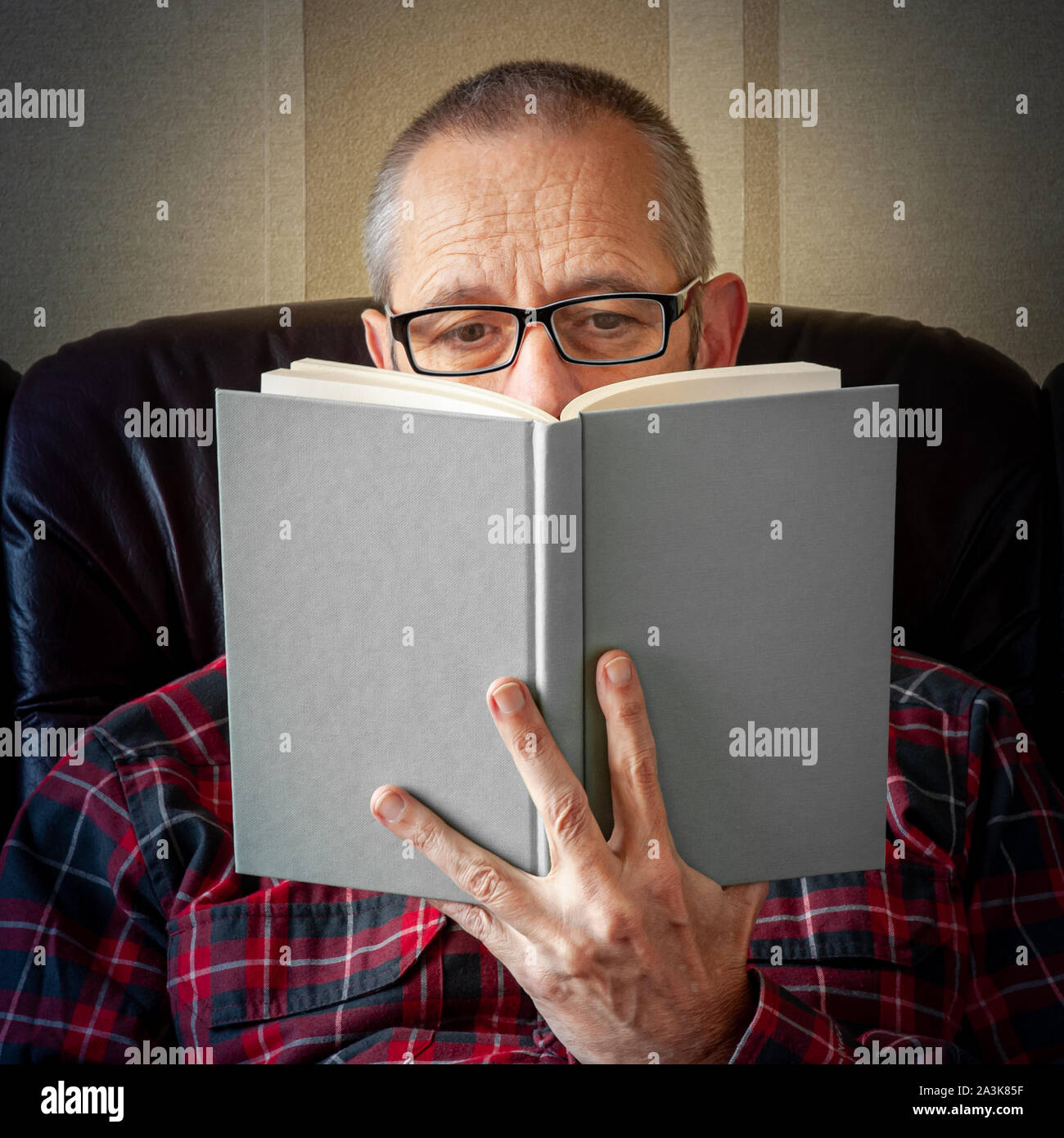 Un uomo anziano con la barba e gli occhiali seduto sul divano e la lettura di un libro Foto Stock Un uomo anziano con la barba e gli occhiali seduto sul divano e la lettura di un libro Foto Stock