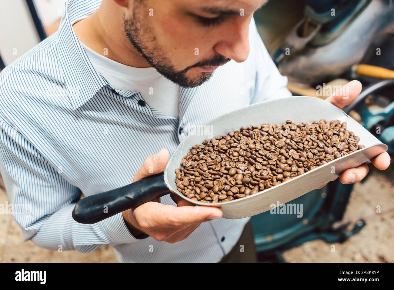 Uomo in coffee roastery con chicchi freschi Foto Stock