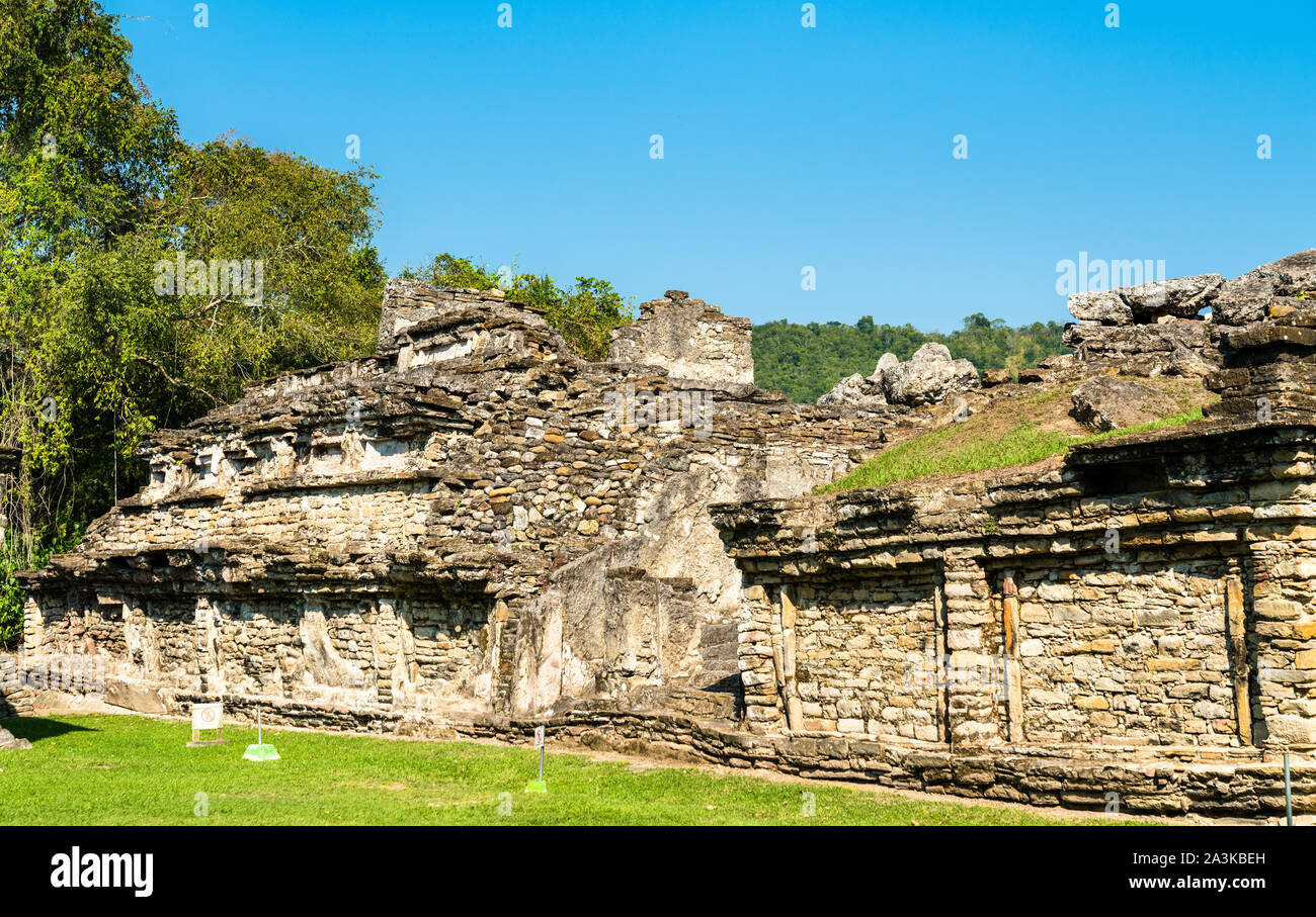 Rovine di El Tajin, un pre-colombiano sito archeologico nel sud del Messico Foto Stock