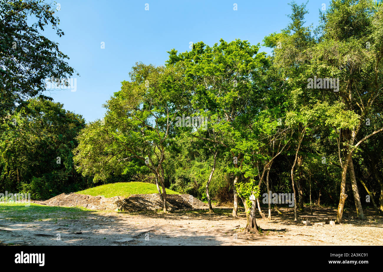 El Tajin, un pre-colombiano sito archeologico nel sud del Messico Foto Stock