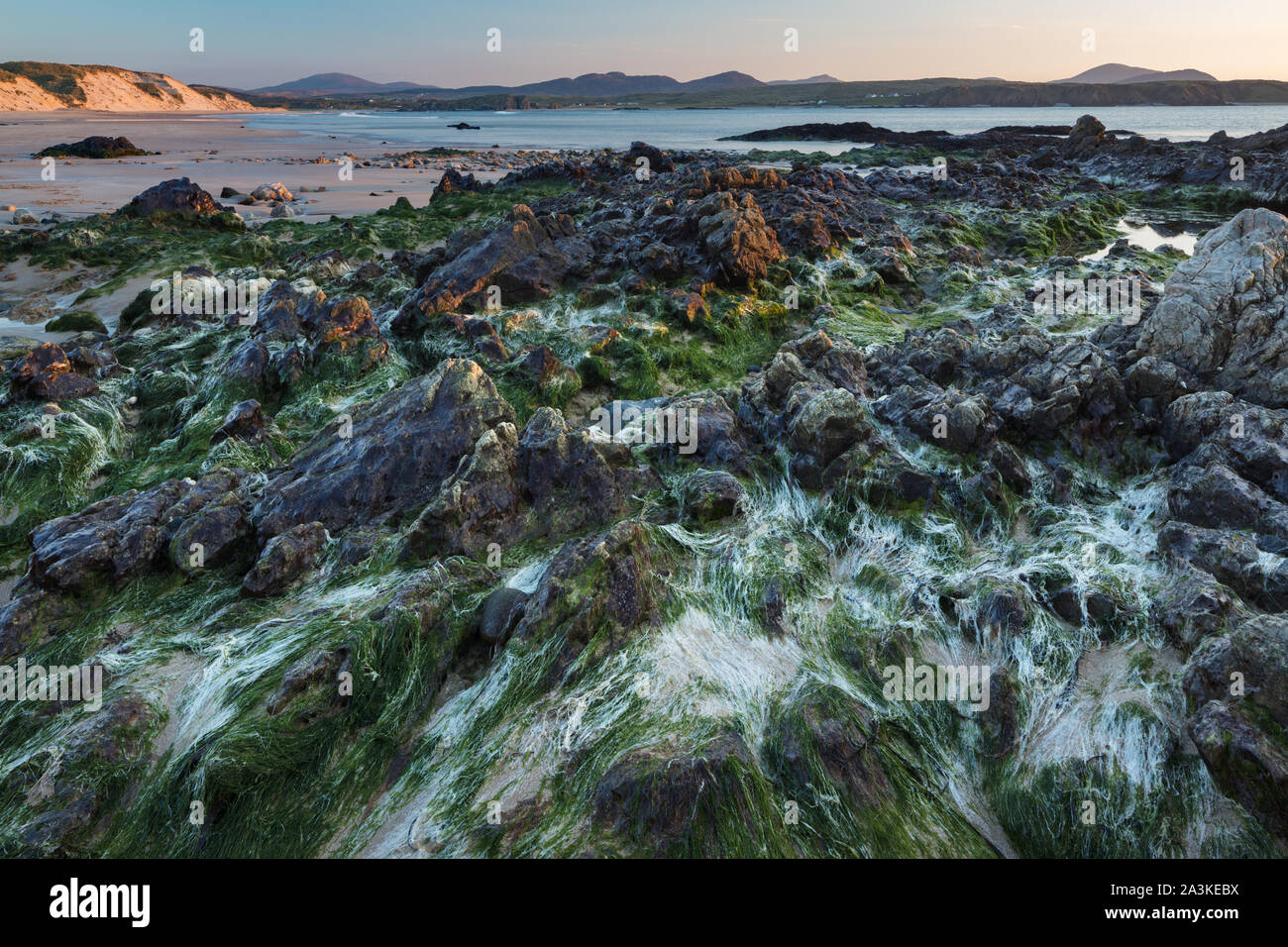 Pareti incrostate di alghe su cinque dita Strand, Trawbreaga Bay e Dunaff testa dalla collina di soldati, Penisola di Inishowen, Co Donegal, Irlanda Foto Stock