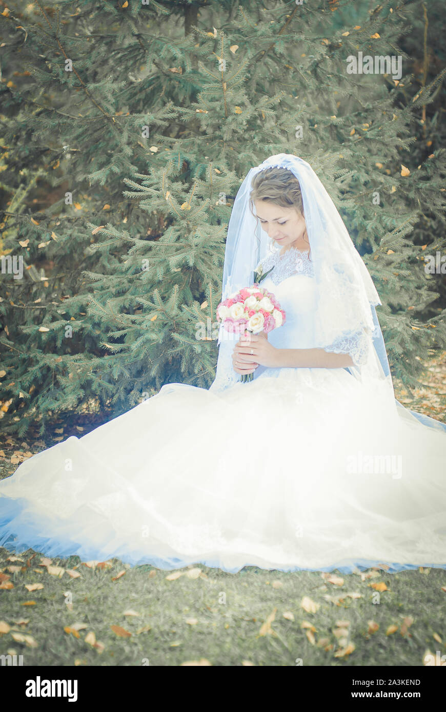 Ucraina, Lutsk - 27.10.2013: la cerimonia nuziale. Gli amanti delle passeggiate nella natura nel Parco. Bella delicata e coppie romantiche, amarsi Foto Stock