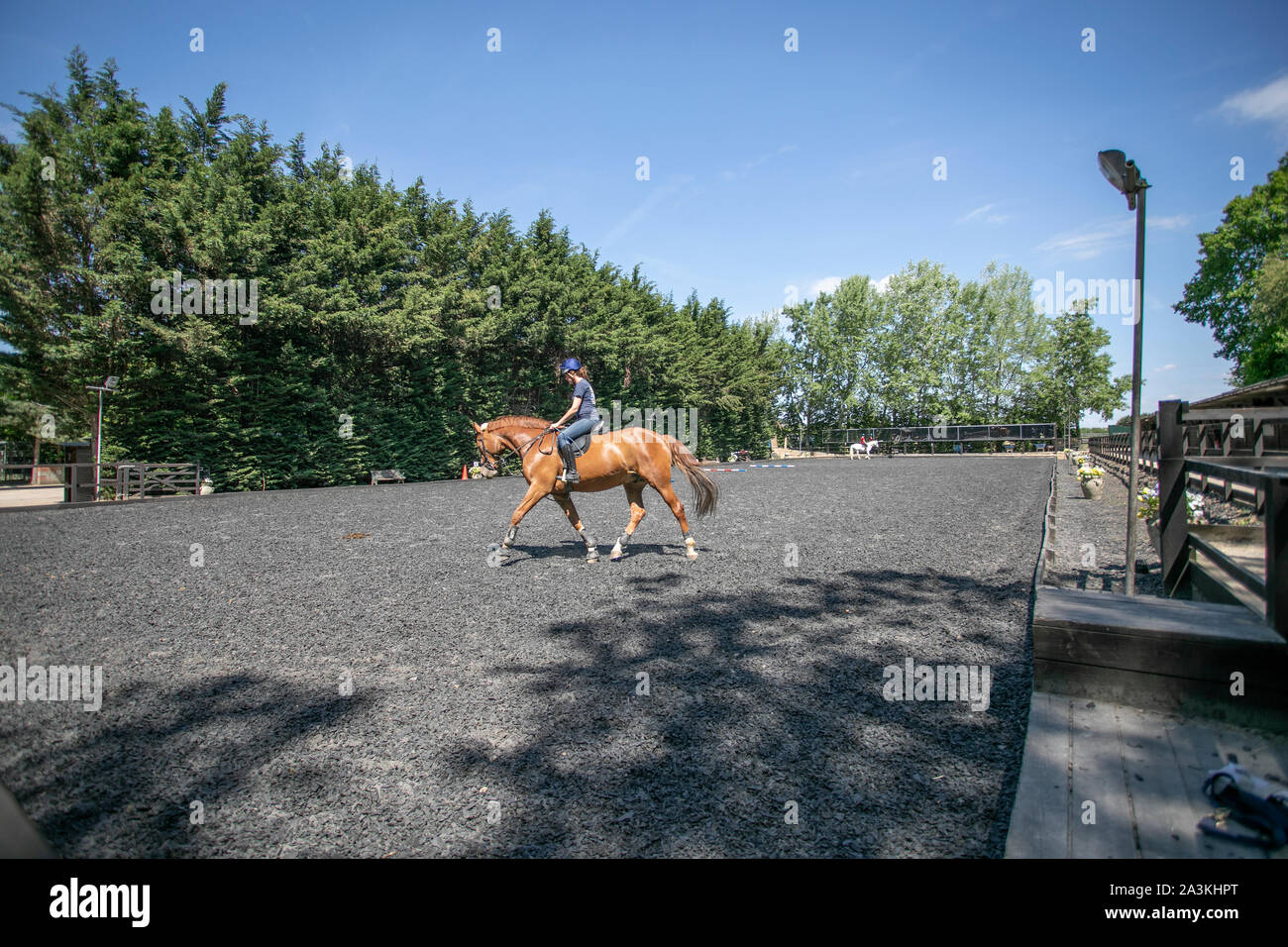 Prigioniero di inglese e la livrea del cavallo maneggio Foto Stock